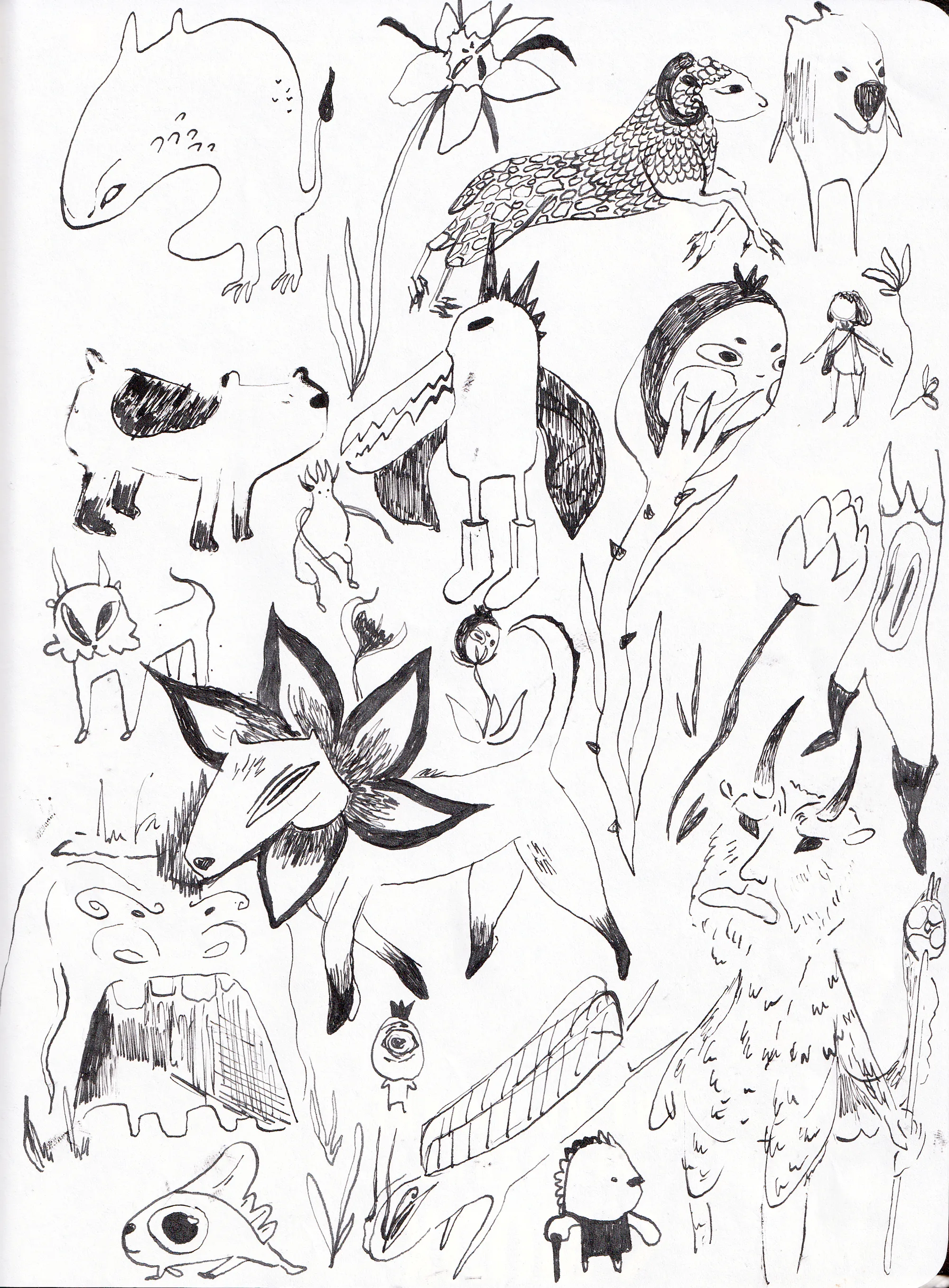 Creatures Exploration