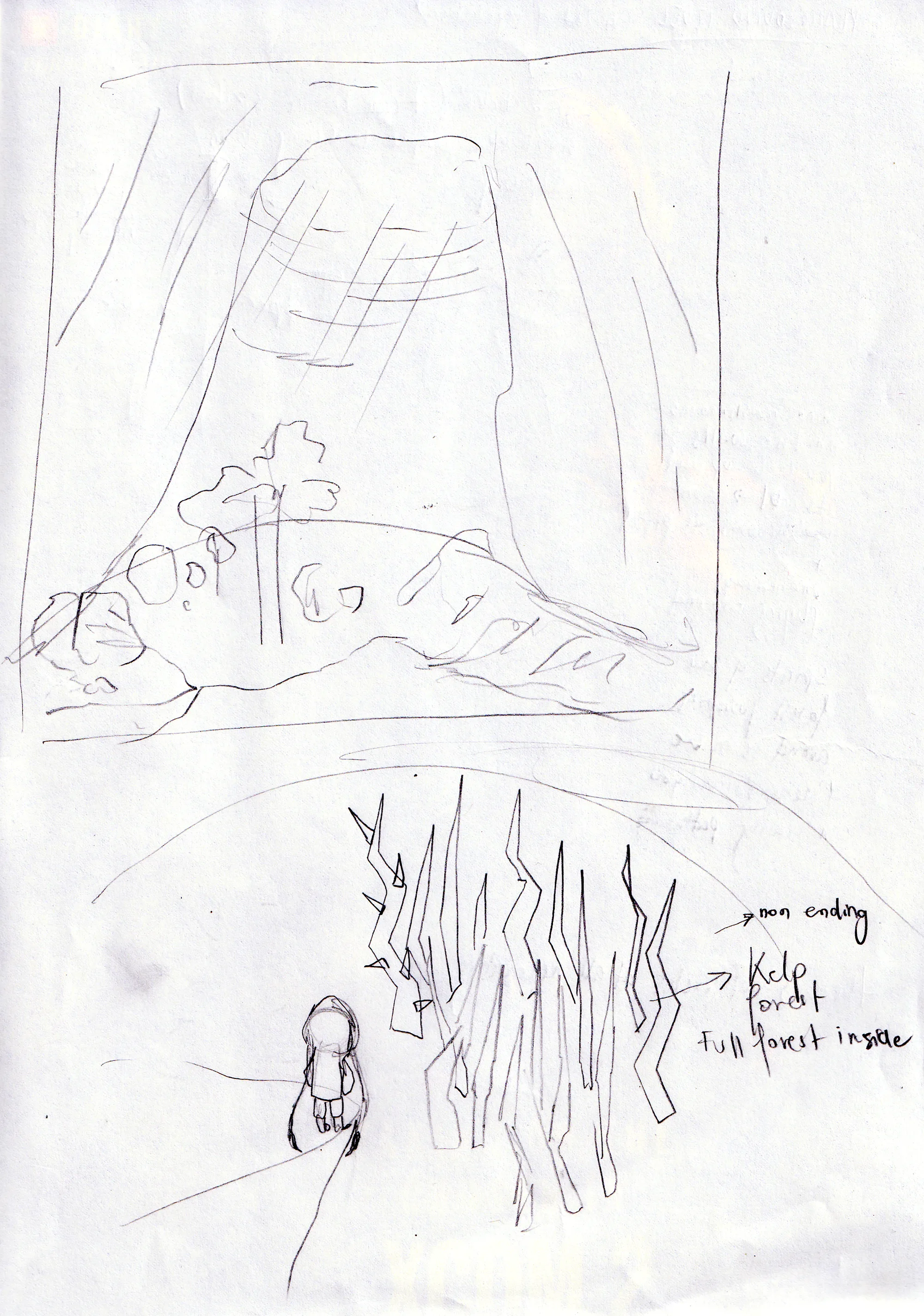 Roro Enters Kelp Forest